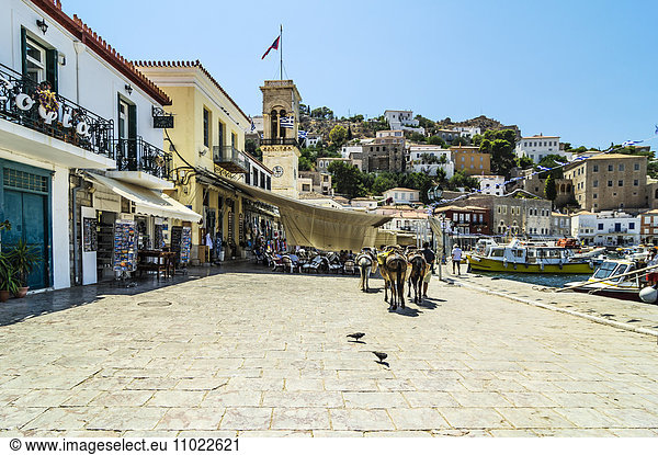 Greece, Hydra, square with mules