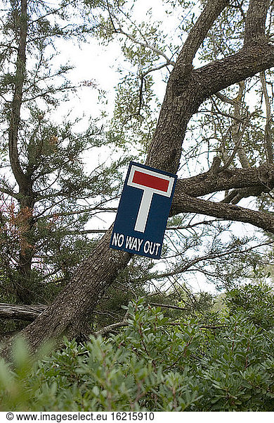 Greece  Ithaca  Dead end singn on tree