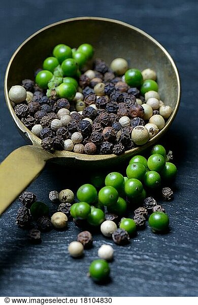Green  black and white pepper in brass ladle  pepper syrup  pepper panicles  peppercorns