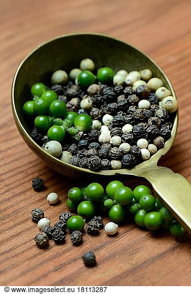 Green  black and white pepper in brass ladle  pepper syrup  pepper panicles  peppercorns