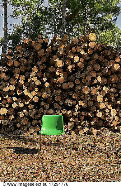 Green chair in front of tree trunks