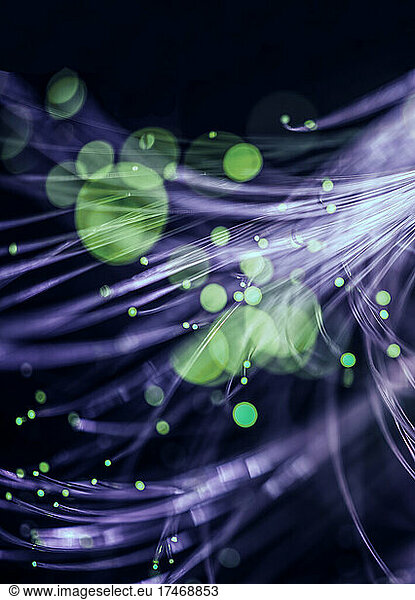 Green fiber optics carrying data across internet