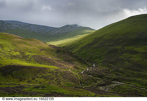 Green hilly landscape of Cairngorms National Park