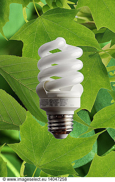 Green Light Bulb
