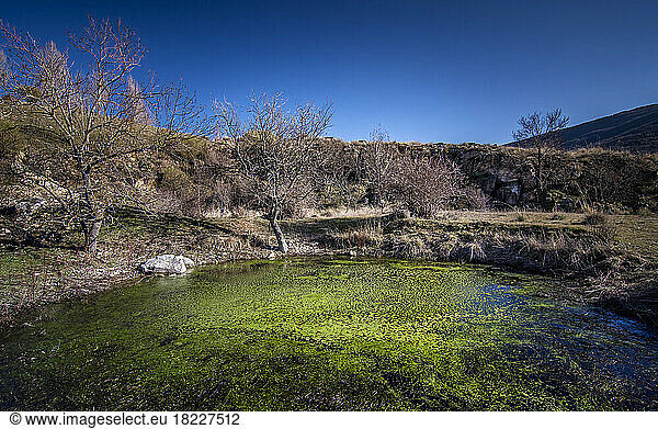 Green pond and blue sky
