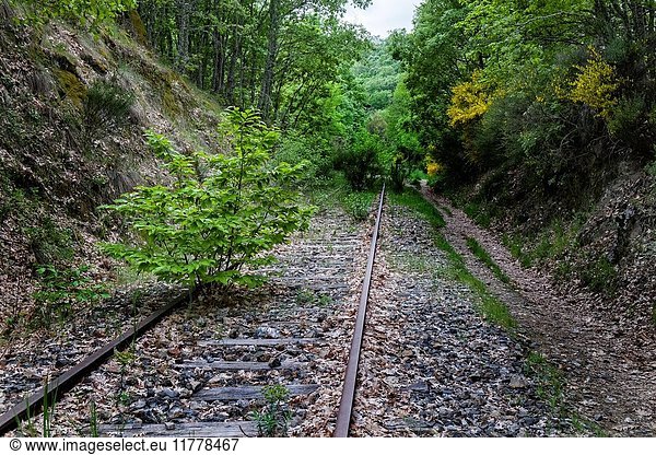 Green railway. Routes of the abandoned railway route of the Route of the Silver that worked between 1890 and the years 80 of century XX. It forms part of the Path of the Cedro de la Francesa. Béjar. Salamanca. Castilla y León. Spain.