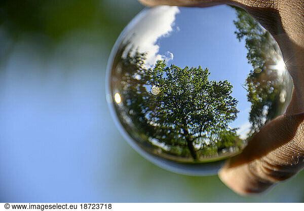 Green Trees and blue sky captured in glass bubble