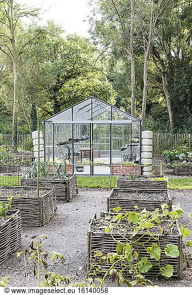 Greenhouse and square foot gardens with hazel wood weave