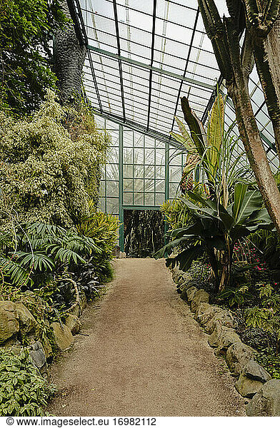 Greenhouse in Estufa Fria Botanic Gardens