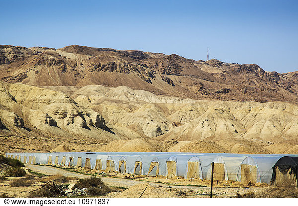 Greenhouses along the Dead Sea; Jordan Valley Israel