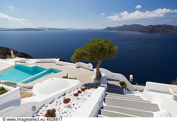 Griechenland  Kykladen  Thira  Santorini  Oia  Blick auf Treppe mit Pool und Olivenbaum