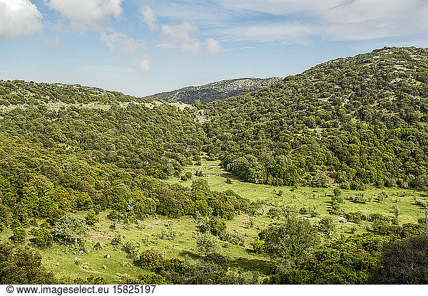 Griechenland  Oichalia  Grüne bewaldete Hügel im Frühling