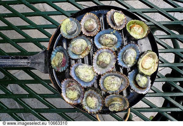 Grilled limpets with green mojo  Lanzarote. Canary Islands. Spain.
