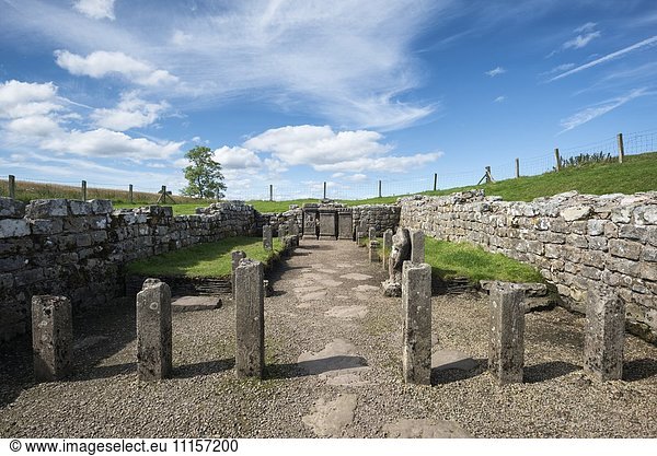 Großbritannien Northumberland Carrawburgh Mithraeum