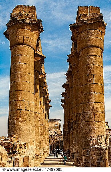 Große Kolonnade  Luxor-Tempel  Theben  Ägypten  Luxor  Theben  Ägypten  Afrika