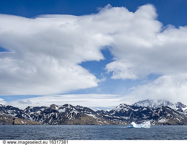 Großer Eisberg am Eingang der St. Andrews Bay  Südgeorgien  Polarregionen