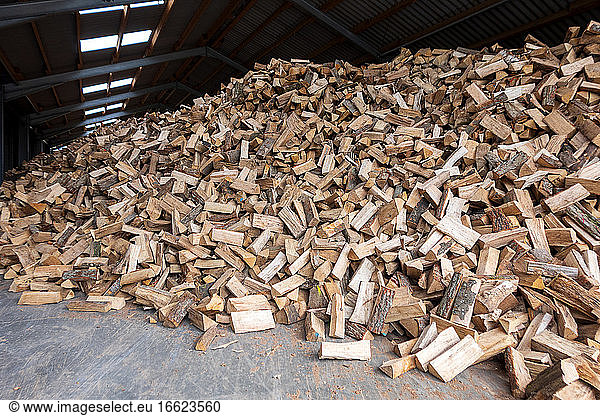 Großer Haufen Brennholz