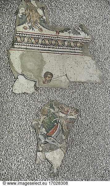 Großer Palast von Konstantinopel (oströmische Zeit). Fragmente eines der Mosaike  die die Gehwege schmückten. 4. bis 6. Jahrhundert. Museum für Mosaike des Großen Palastes. Istanbul  Türkei.