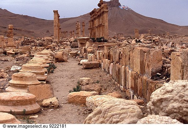 groß großes großer große großen Kolonnade Palmyra Syrien