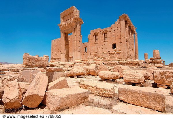 Großstadt  Ruine  antik  Palmyra  Syrien