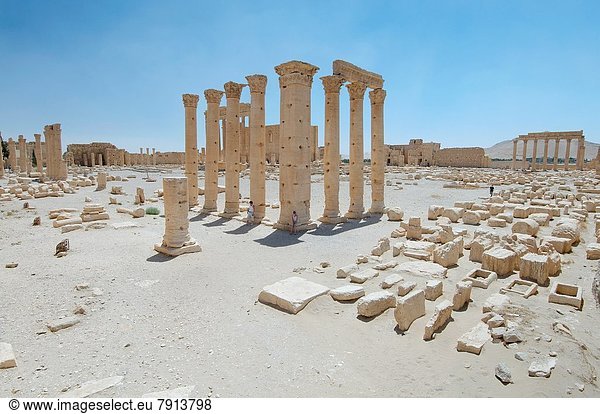 Großstadt  Ruine  antik  Palmyra  Syrien