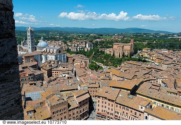 Großstadt Turm Kathedrale Ansicht bauen Siena Toskana