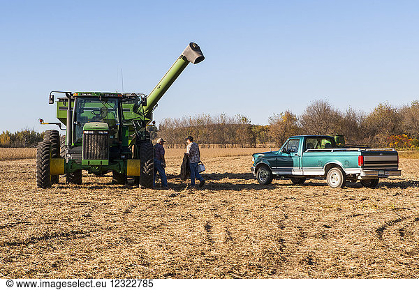 Großvater tauscht mit Enkel das Fahren eines Getreidewagens während der Sojabohnenernte aus  in der Nähe von Nerstrand; Minnesota  Vereinigte Staaten von Amerika