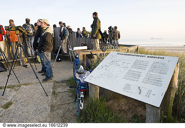 Groep vogelaars staand op trektelpost; Group of birdwatchers standing at migration watchpoint