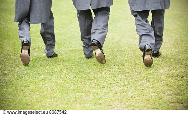 Groom and two best man in black shoes  grey trousers and morning coats walking along a lawn. Back view.