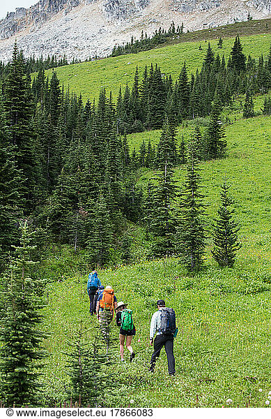 Group of Hikers Walk Up Mountain Trail