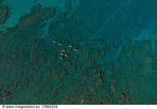 Group of kayakers paddle in the ocean off of Kona  Hawaii