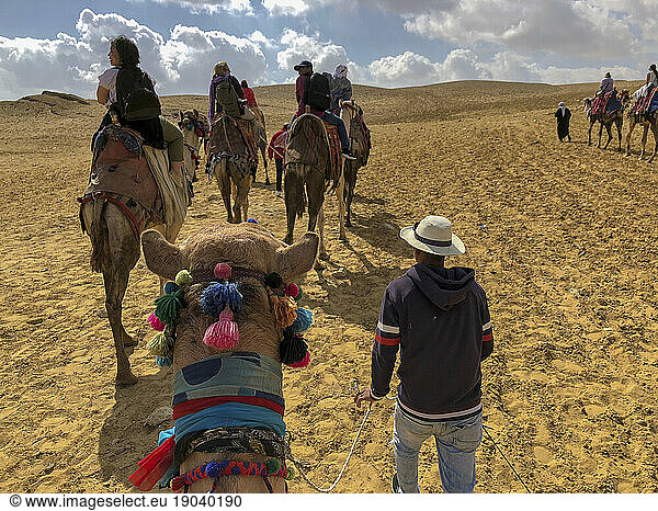 Group of tourists riding camels in the desert in Egypt near Giza