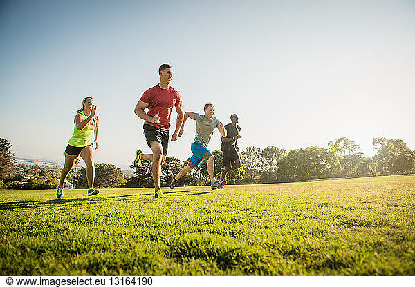 Group of young adults on training run in field