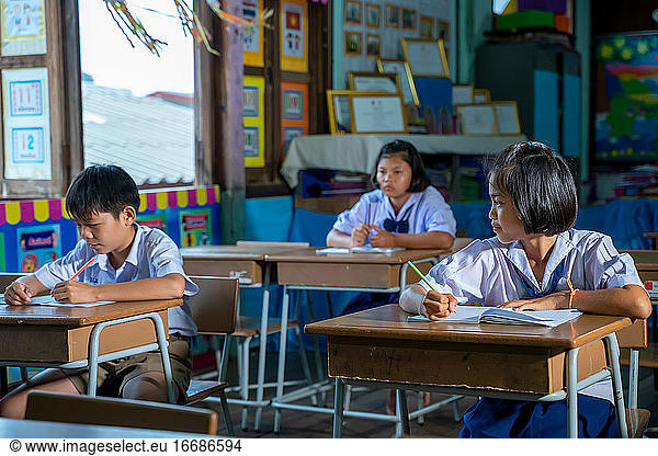 Grundschulkinder sitzen an Schreibtischen im Klassenzimmer  Bildung  l
