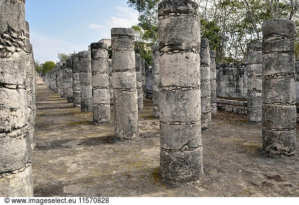 Grupo de las Mil Columnas  Halle der 1000 Säulen  Columnata Oeste  historische Mayastadt Chichen Itza  Piste  Yucatan  Mexiko  Mittelamerika
