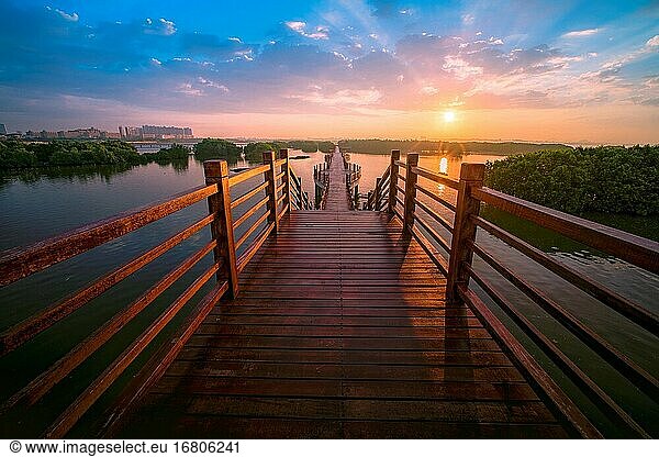 Guangdong Maoming Shuidong Bucht Mangroven Planke Straße Sonnenaufgang