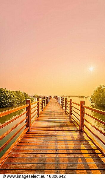 Guangdong Maoming Shuidong Bucht Mangroven Planke Straße Sonnenaufgang