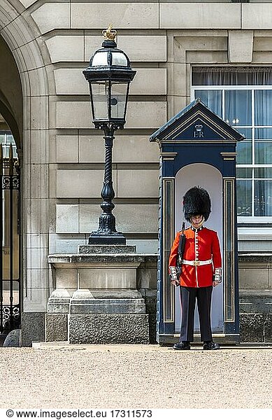 Guard in front of guard house  guard of the royal guard with bearskin cap  Buckingham Palace  London  England  Great Britain