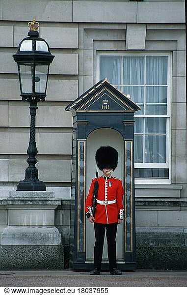 Guard Soldier at the Buckingham Palace  London  England  Great Britain  Guard Soldier at Buckingham Palace  Great Britain  Europe  vertical