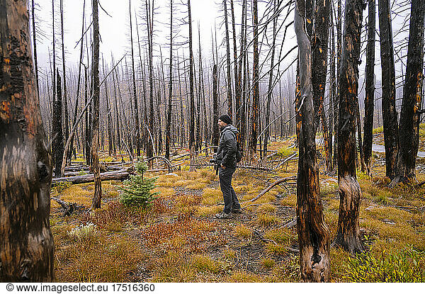 Guy hiking through a burned forest in the fall