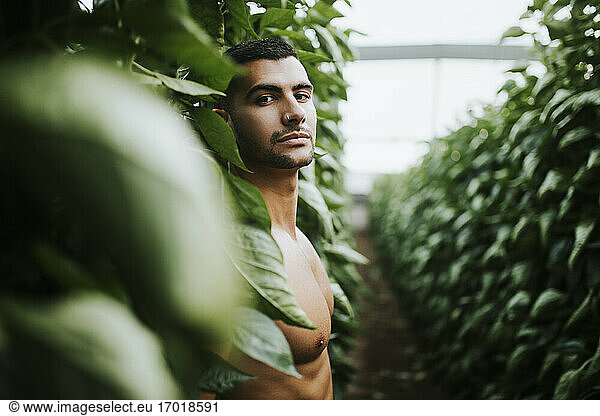 Hübscher junger Mann ohne Hemd  der auf einem Bio-Bauernhof vor Pflanzen steht