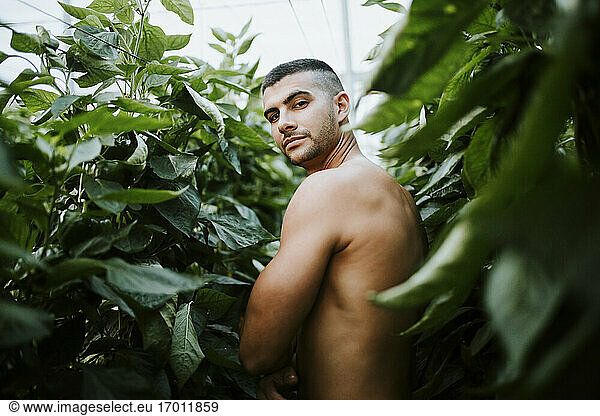 Hübscher junger Mann ohne Hemd inmitten von Pflanzen auf einem Bio-Bauernhof