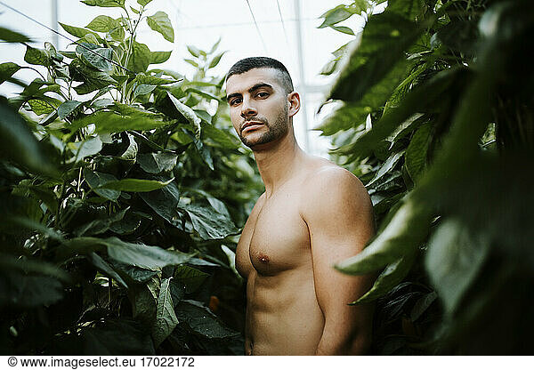 Hübscher junger Mann ohne Hemd inmitten von Pflanzen auf einem Bio-Bauernhof