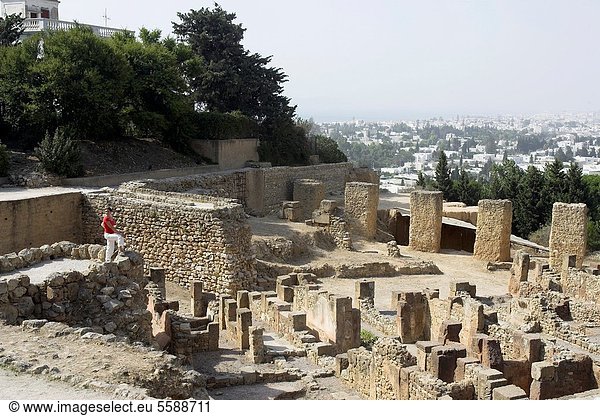 Hügel  Ruine  Karthago  Tunesien