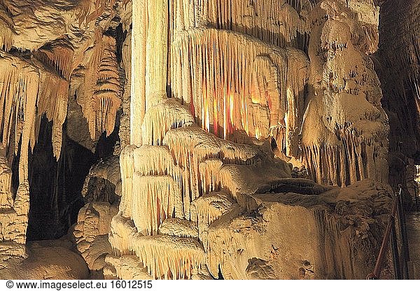 Höhle von Postojna  Slowenien.