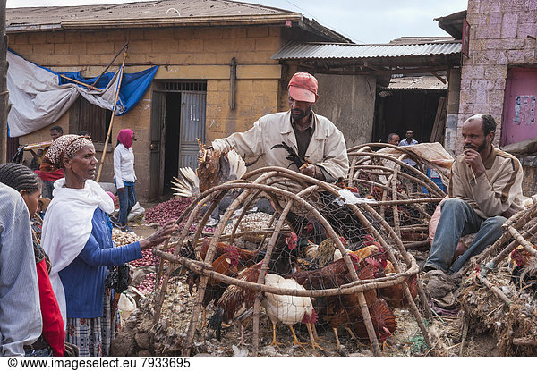 Hühner in einem Korb  Straßenmarkt  Mercato von Addis Abeba