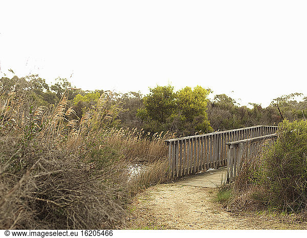 Hölzerne Fußgängerbrücke über Feuchtgebiete  Anglesea  Victoria  Australien