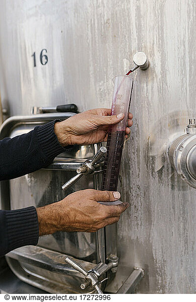 Hände eines Winzers  der Rotwein zur Überprüfung der Temperatur im Weinkeller sammelt