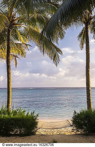 Hängematte zum Entspannen im Sommerurlaub unter Palmen am weißen Sandstrand auf der tropischen Insel Rarotonga  Cook Islands  Südpazifik