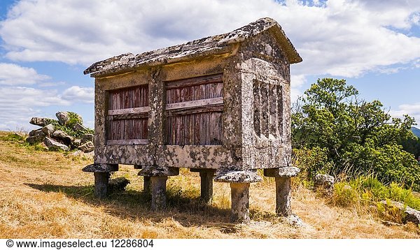 Hórreos. Quins. Ourense. Galicia. Spain.